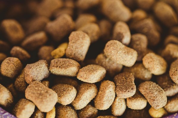 Croquettes husse pour chiens : des produits frais et sains